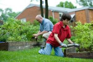 Vegetable Gardening