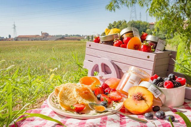 Picnic Basket